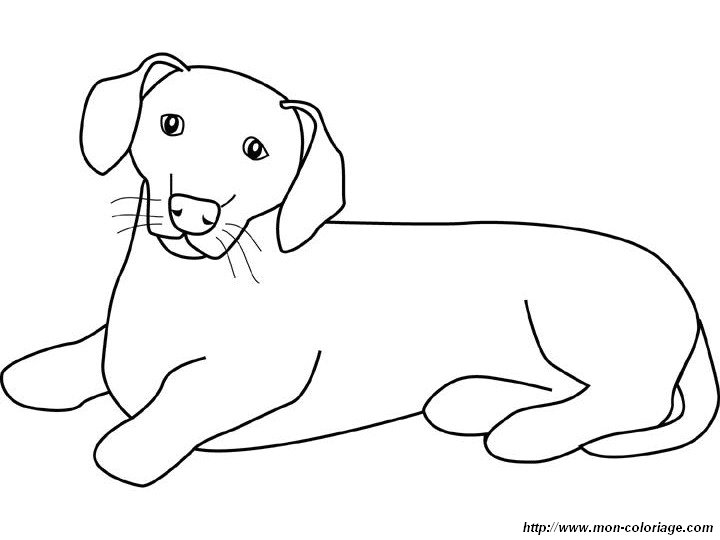 daschund coloring pages - photo #13